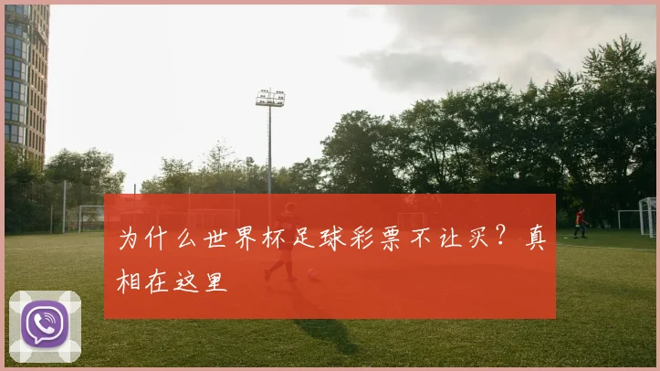 为什么世界杯足球彩票不让买？真相在这里