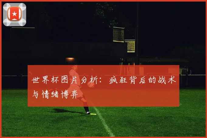 世界杯图片分析：疯狂背后的战术与情绪博弈