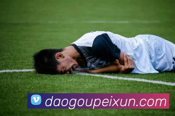 看球官网平台生态图
